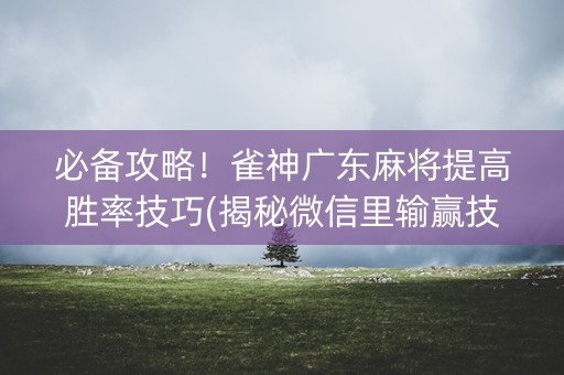 必备攻略！雀神广东麻将提高胜率技巧(揭秘微信里输赢技巧)
