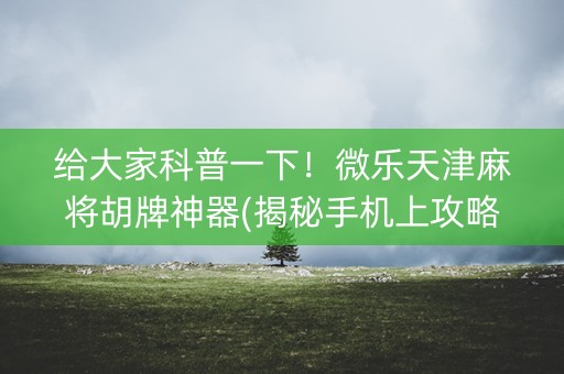 给大家科普一下！微乐天津麻将胡牌神器(揭秘手机上攻略插件)
