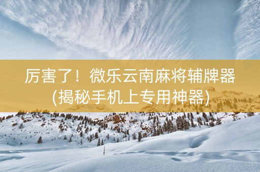 厉害了！微乐云南麻将辅牌器(揭秘手机上专用神器)
