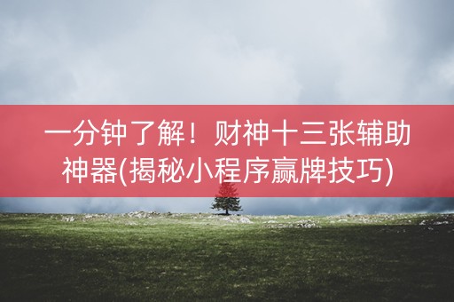 一分钟了解！财神十三张辅助神器(揭秘小程序赢牌技巧)