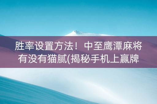 胜率设置方法！中至鹰潭麻将有没有猫腻(揭秘手机上赢牌的技巧)