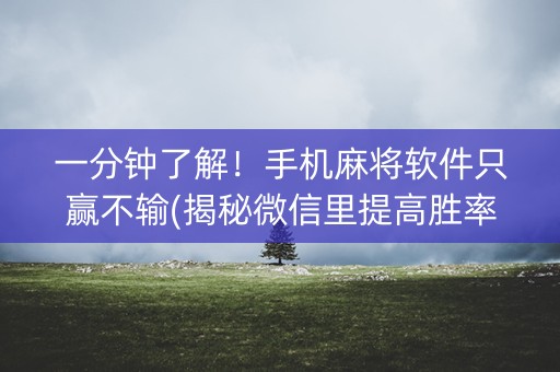 一分钟了解！手机麻将软件只赢不输(揭秘微信里提高胜率)