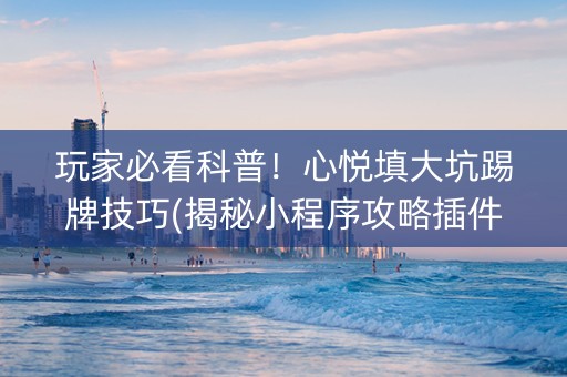 玩家必看科普！心悦填大坑踢牌技巧(揭秘小程序攻略插件)