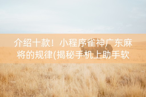 介绍十款！小程序雀神广东麻将的规律(揭秘手机上助手软件)