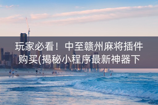 玩家必看！中至赣州麻将插件购买(揭秘小程序最新神器下载)