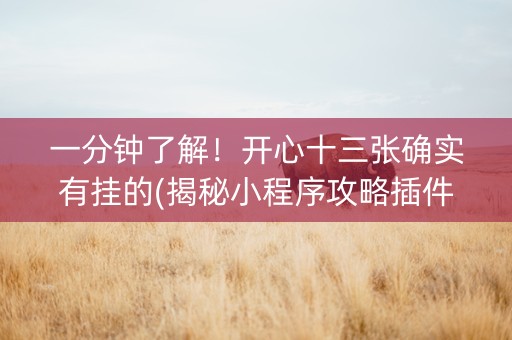 一分钟了解！开心十三张确实有挂的(揭秘小程序攻略插件)