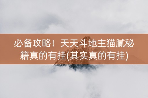 必备攻略！天天斗地主猫腻秘籍真的有挂(其实真的有挂)