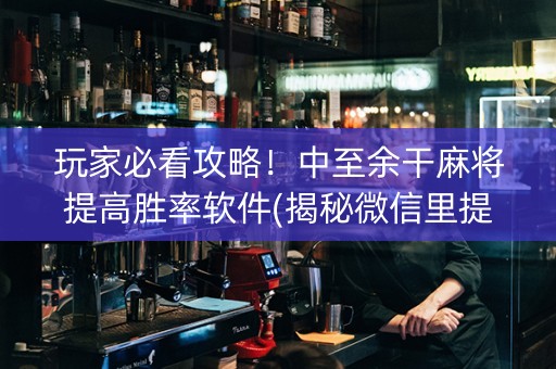 玩家必看攻略！中至余干麻将提高胜率软件(揭秘微信里提高赢的概率)
