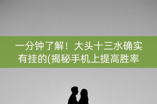 一分钟了解！大头十三水确实有挂的(揭秘手机上提高胜率)
