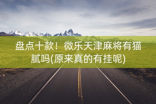 盘点十款！微乐天津麻将有猫腻吗(原来真的有挂呢)