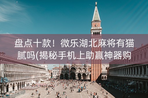 盘点十款！微乐湖北麻将有猫腻吗(揭秘手机上助赢神器购买)