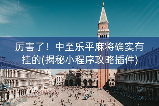 厉害了！中至乐平麻将确实有挂的(揭秘小程序攻略插件)