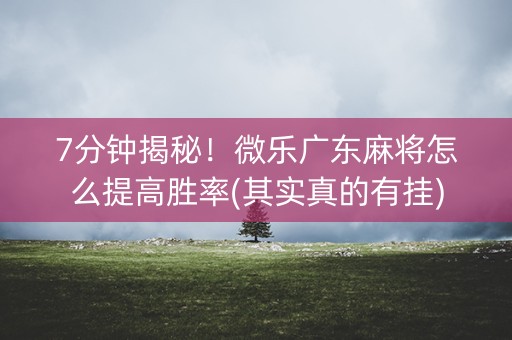 7分钟揭秘！微乐广东麻将怎么提高胜率(其实真的有挂)
