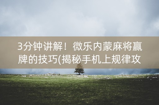 3分钟讲解！微乐内蒙麻将赢牌的技巧(揭秘手机上规律攻略)