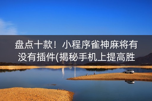 盘点十款！小程序雀神麻将有没有插件(揭秘手机上提高胜率)