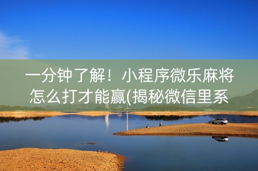 一分钟了解！小程序微乐麻将怎么打才能赢(揭秘微信里系统发好牌)