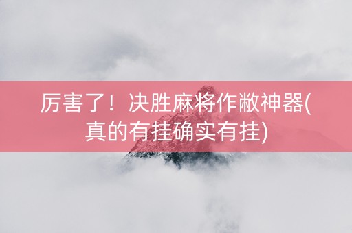 厉害了！决胜麻将作敝神器(真的有挂确实有挂)