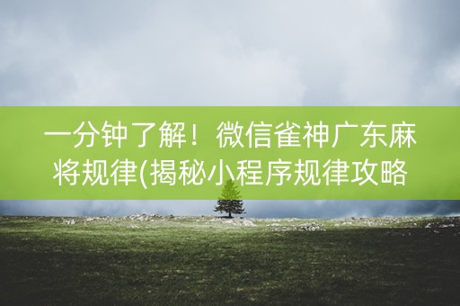 一分钟了解！微信雀神广东麻将规律(揭秘小程序规律攻略)