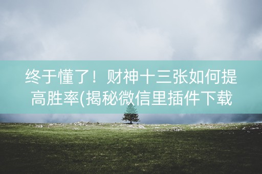 终于懂了！财神十三张如何提高胜率(揭秘微信里插件下载)