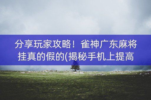 分享玩家攻略！雀神广东麻将挂真的假的(揭秘手机上提高胜率)