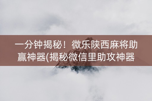 一分钟揭秘！微乐陕西麻将助赢神器(揭秘微信里助攻神器)