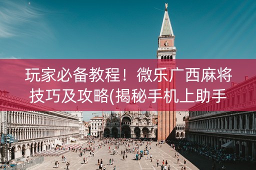 玩家必备教程！微乐广西麻将技巧及攻略(揭秘手机上助手软件)