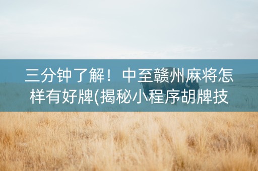 三分钟了解！中至赣州麻将怎样有好牌(揭秘小程序胡牌技巧)