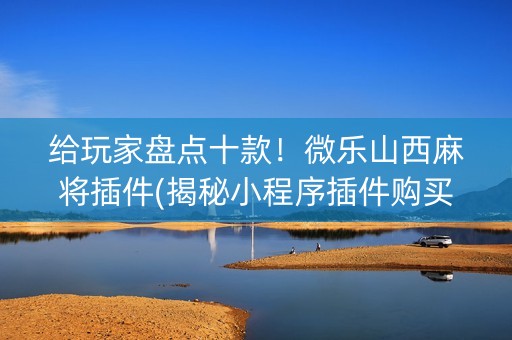 给玩家盘点十款！微乐山西麻将插件(揭秘小程序插件购买)