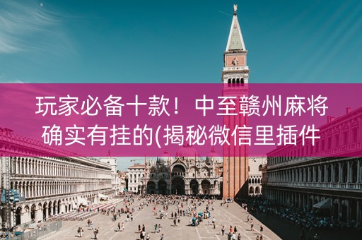 玩家必备十款！中至赣州麻将确实有挂的(揭秘微信里插件购买)