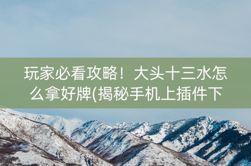玩家必看攻略！大头十三水怎么拿好牌(揭秘手机上插件下载)