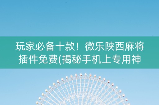 玩家必备十款！微乐陕西麻将插件免费(揭秘手机上专用神器)
