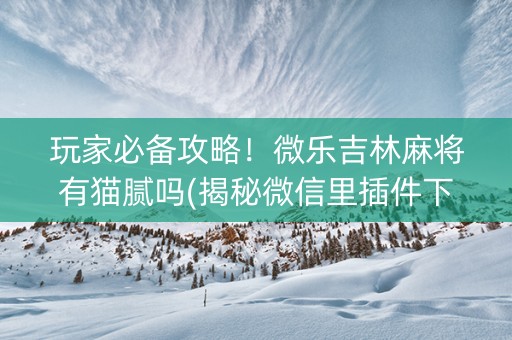 玩家必备攻略！微乐吉林麻将有猫腻吗(揭秘微信里插件下载)