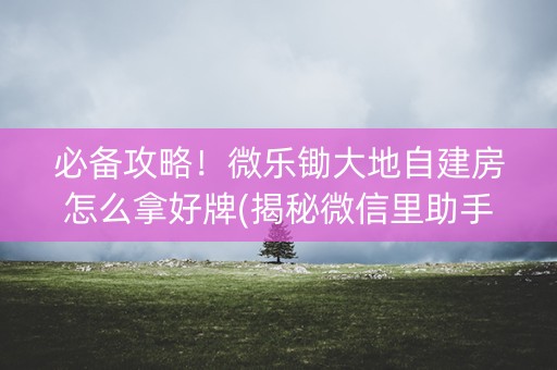 必备攻略！微乐锄大地自建房怎么拿好牌(揭秘微信里助手软件)