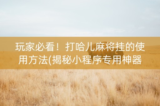 玩家必看！打哈儿麻将挂的使用方法(揭秘小程序专用神器下载)
