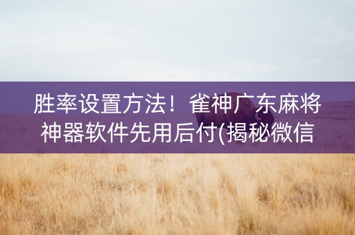 胜率设置方法！雀神广东麻将神器软件先用后付(揭秘微信里必备神器)