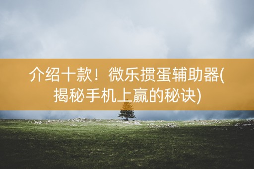 介绍十款！微乐掼蛋辅助器(揭秘手机上赢的秘诀)