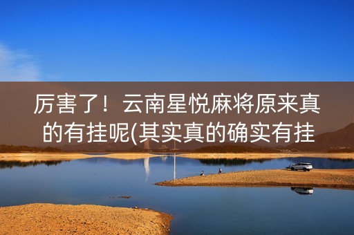 厉害了！云南星悦麻将原来真的有挂呢(其实真的确实有挂)