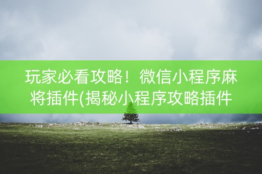 玩家必看攻略！微信小程序麻将插件(揭秘小程序攻略插件)