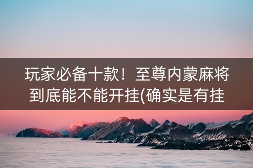 玩家必备十款！至尊内蒙麻将到底能不能开挂(确实是有挂的)