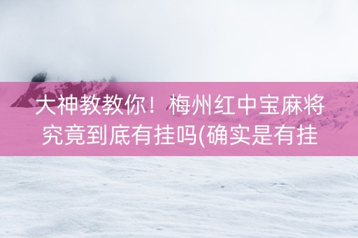 大神教教你！梅州红中宝麻将究竟到底有挂吗(确实是有挂)
