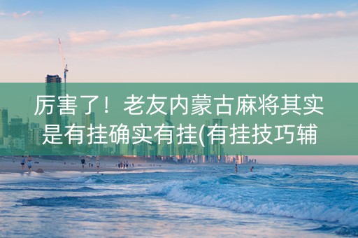 厉害了！老友内蒙古麻将其实是有挂确实有挂(有挂技巧辅助器)