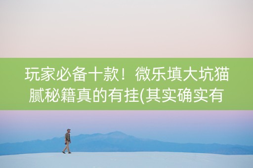 玩家必备十款！微乐填大坑猫腻秘籍真的有挂(其实确实有挂)