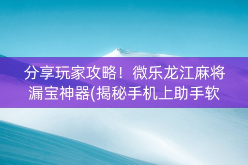 分享玩家攻略！微乐龙江麻将漏宝神器(揭秘手机上助手软件)