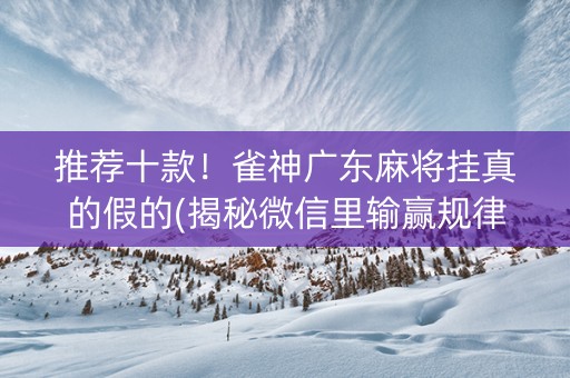 推荐十款！雀神广东麻将挂真的假的(揭秘微信里输赢规律)