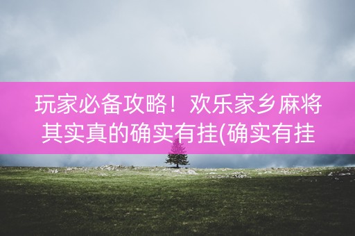 玩家必备攻略！欢乐家乡麻将其实真的确实有挂(确实有挂吗)