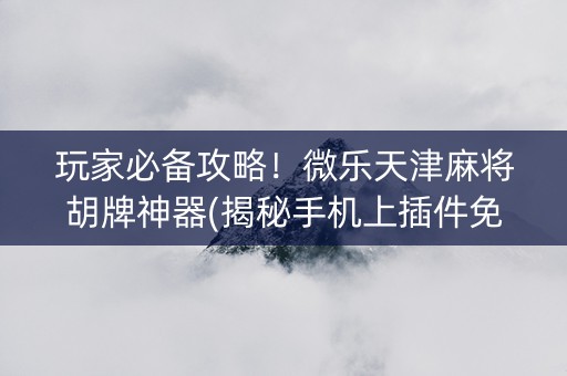 玩家必备攻略！微乐天津麻将胡牌神器(揭秘手机上插件免费)