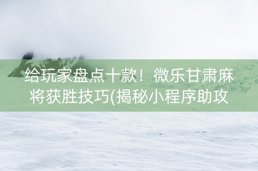 给玩家盘点十款！微乐甘肃麻将获胜技巧(揭秘小程序助攻神器)