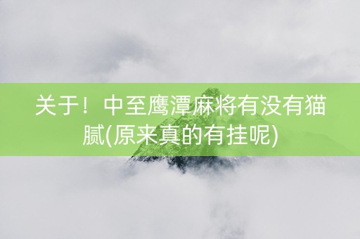 关于！中至鹰潭麻将有没有猫腻(原来真的有挂呢)