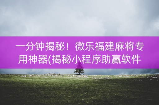 一分钟揭秘！微乐福建麻将专用神器(揭秘小程序助赢软件)