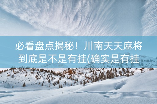 必看盘点揭秘！川南天天麻将到底是不是有挂(确实是有挂)